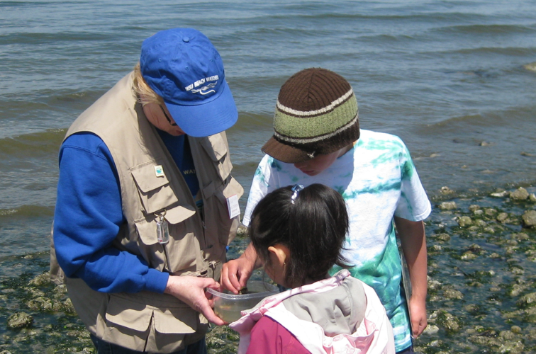 Lowtide Exploration Mukilteo Lighthouse Park Seattle Area Family
